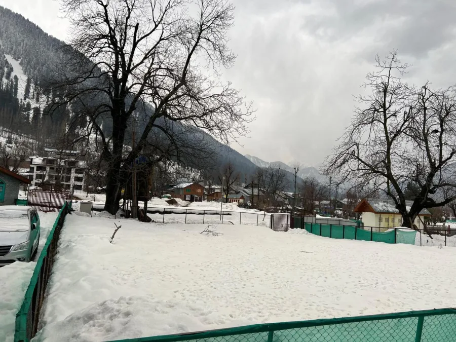 Snow-covered lawn at Hotel Seven Pahalgam in winter
