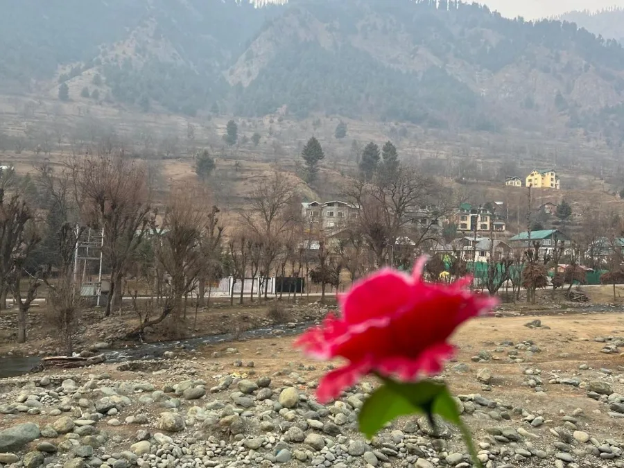 Riverbank and hills seen from Hotel Seven Pahalgam in autumn